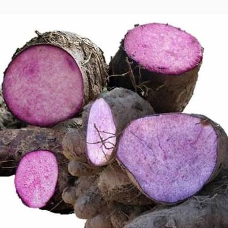 Ratalu (Yam)